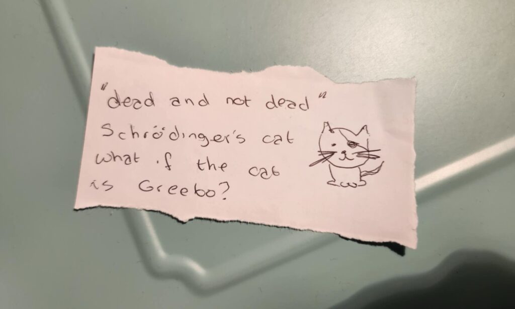 A photo of a small piece of white paper on a green surface. Handwriting in black pen reads:
“dead and not dead”
Schrödinger’s cat
What if the cat is Greebo?
Next to the writing is drawn a small cartoon cat with prominent whiskers and an eye patch.